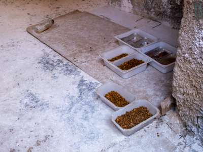 ...e, sul pavimento, alcune ciotole di cibo...